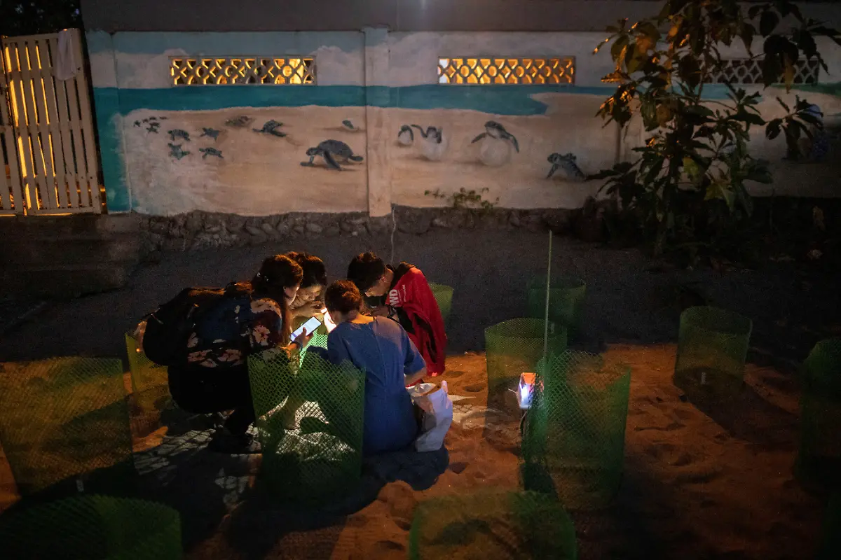 2023-02-06T231225Z-1522776641-RC2M9Y9V4BMN-RTRMADP-3-PHILIPPINES-ENVIRONMENT-TURTLES