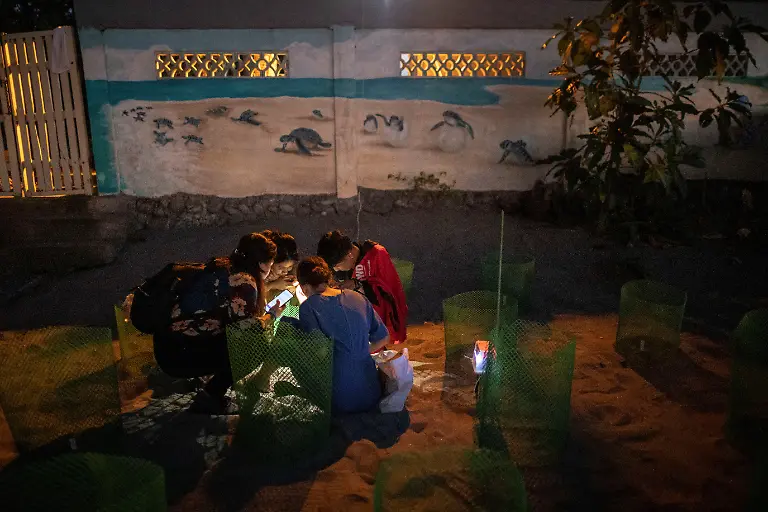 2023-02-06T231225Z-1522776641-RC2M9Y9V4BMN-RTRMADP-3-PHILIPPINES-ENVIRONMENT-TURTLES