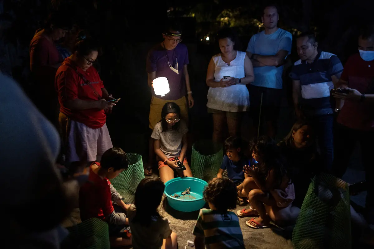 2023-02-06T231241Z-1023773901-RC2N9Y948X6O-RTRMADP-3-PHILIPPINES-ENVIRONMENT-TURTLES