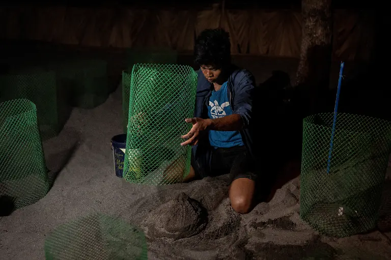 2023-02-06T231241Z-2142307140-RC279Y9X84QI-RTRMADP-3-PHILIPPINES-ENVIRONMENT-TURTLES