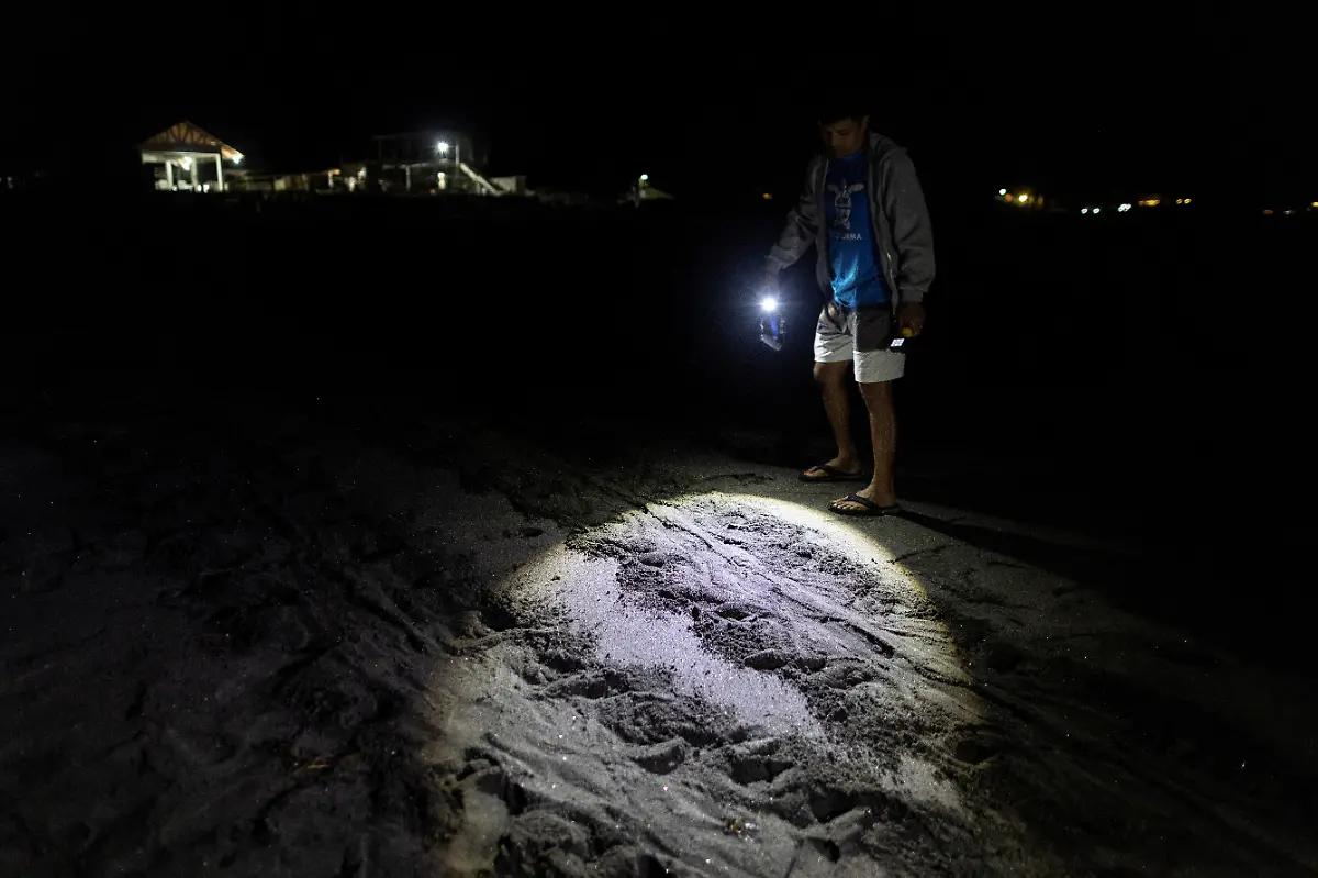 2023-02-06T231250Z-577064474-RC2T9Y9GJQ4H-RTRMADP-3-PHILIPPINES-ENVIRONMENT-TURTLES