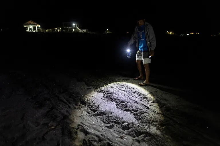 2023-02-06T231250Z-577064474-RC2T9Y9GJQ4H-RTRMADP-3-PHILIPPINES-ENVIRONMENT-TURTLES