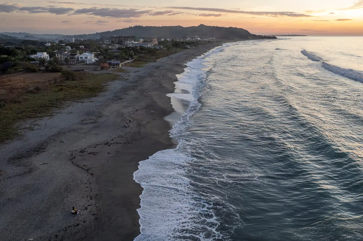 2023-02-06T231256Z-2035322961-RC2T9Y9HAB4L-RTRMADP-3-PHILIPPINES-ENVIRONMENT-TURTLES