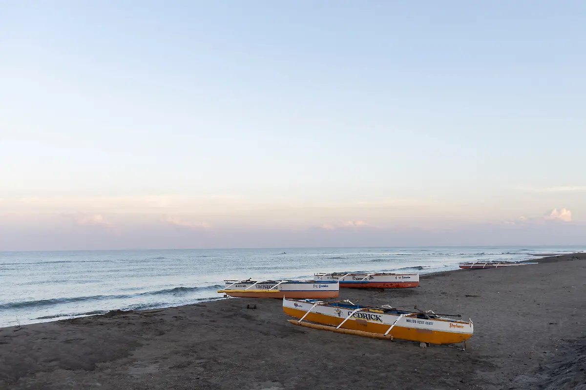 2023-02-06T231226Z-122363998-RC2MOY9GBAPF-RTRMADP-3-PHILIPPINES-ENVIRONMENT-TURTLES