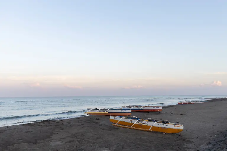 2023-02-06T231226Z-122363998-RC2MOY9GBAPF-RTRMADP-3-PHILIPPINES-ENVIRONMENT-TURTLES