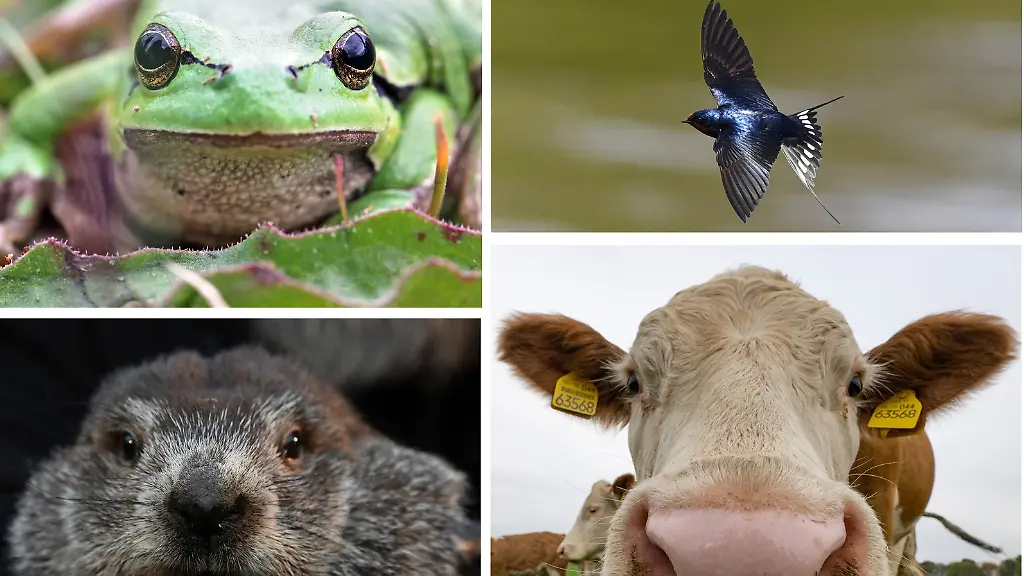 c0e64eb03ecac2edaea89a1617ba81c5