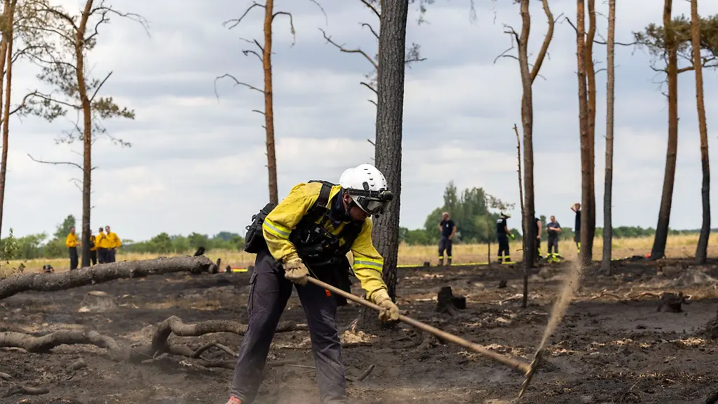 Ein-Feuerwehrmann-bearbeitet-nach-einem-Waldbrand-den-Waldboden-mit-einer-Hacke