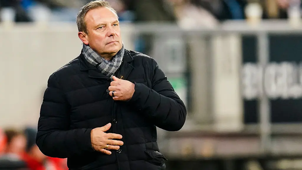 Hoffenheims-Trainer-Andre-Breitenreiter-gestikuliert