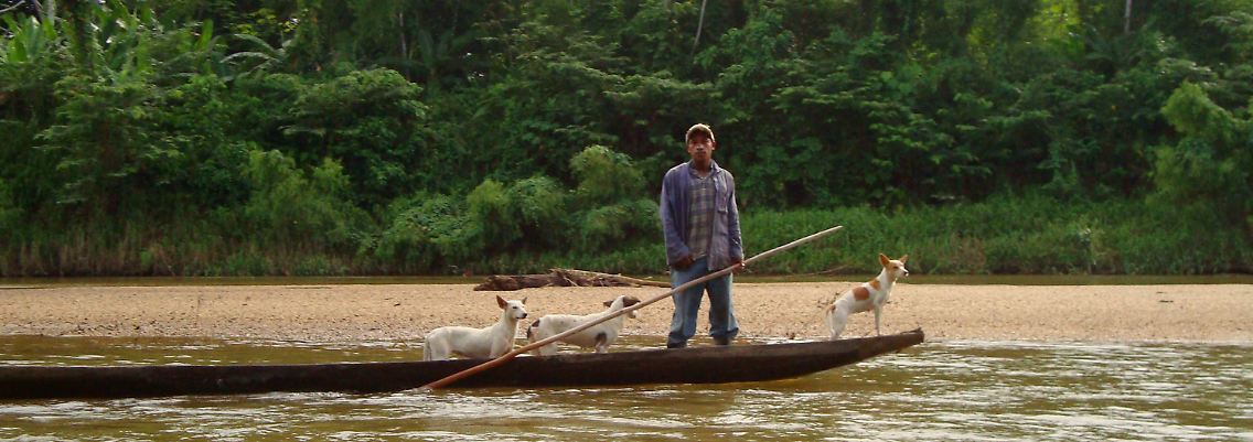 Herrchen und drei Hunde - der Bootsverkehr auf dem Rio Plátano in der Moskitia-Region ist vorsichtig gesagt immer noch sehr bodenständig