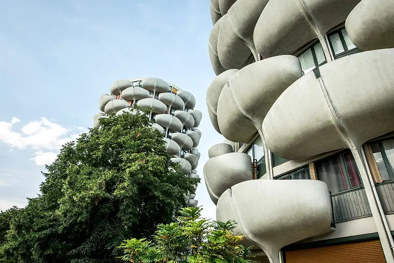 Les-Choux-in-Creteil2