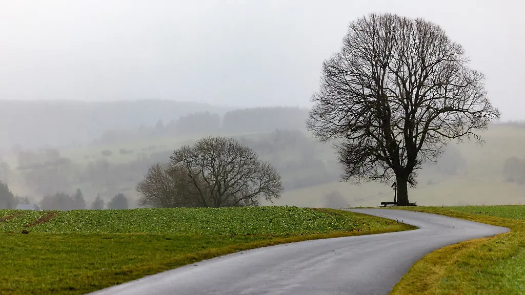 Nebel-und-Nieselregen-praegen-die-Landschaft-am-Schwarzatal