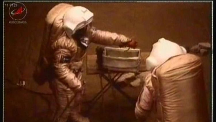 Die Astronauten werden mit Videokameras überwacht.