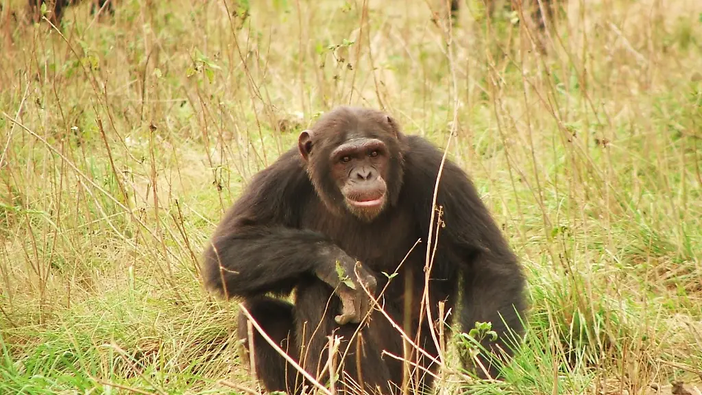 nicht-weiterverwenden