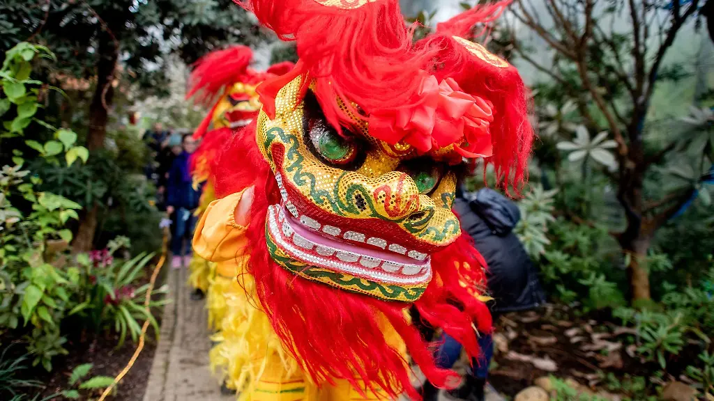 Darsteller-vom-Wushu-Team-Zhao-fuehren-in-bunter-Verkleidung-den-traditionellen-Loewentanz-auf