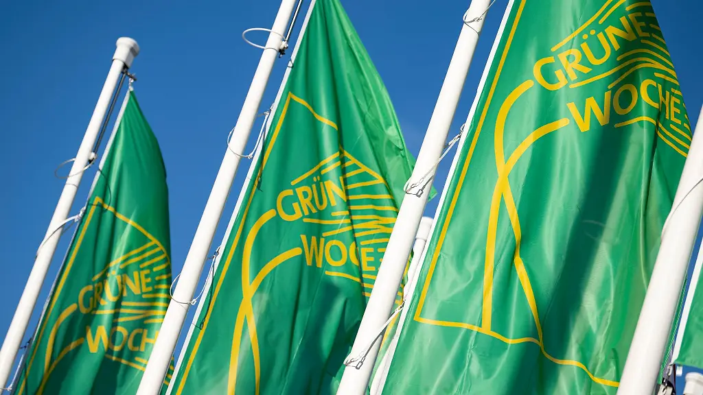 Flaggen-mit-dem-Logo-der-Internationalen-Gruenen-Messe-wehen-vor-dem-Eingang-der-Messe-Berlin