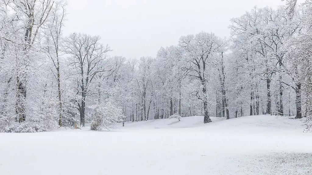 Schneebeckt-ist-die-Landschaft-des-Branitzer-Parks