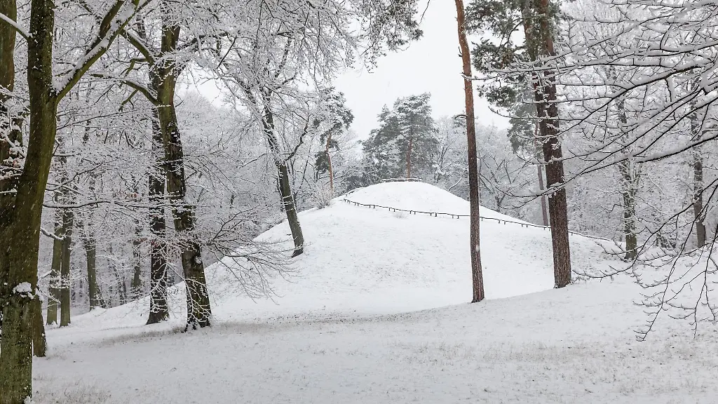 Ein-schneebeckter-Huegel