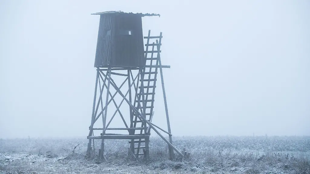 Ein-Hochsitz-ist-im-Morgennebel-neben-einem-Feld-zu-sehen