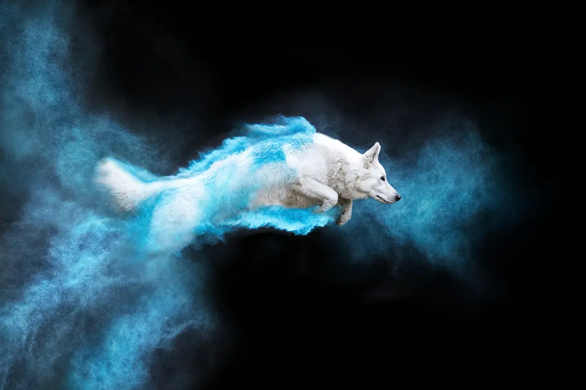 Desina-Zbrankova-Albaniova