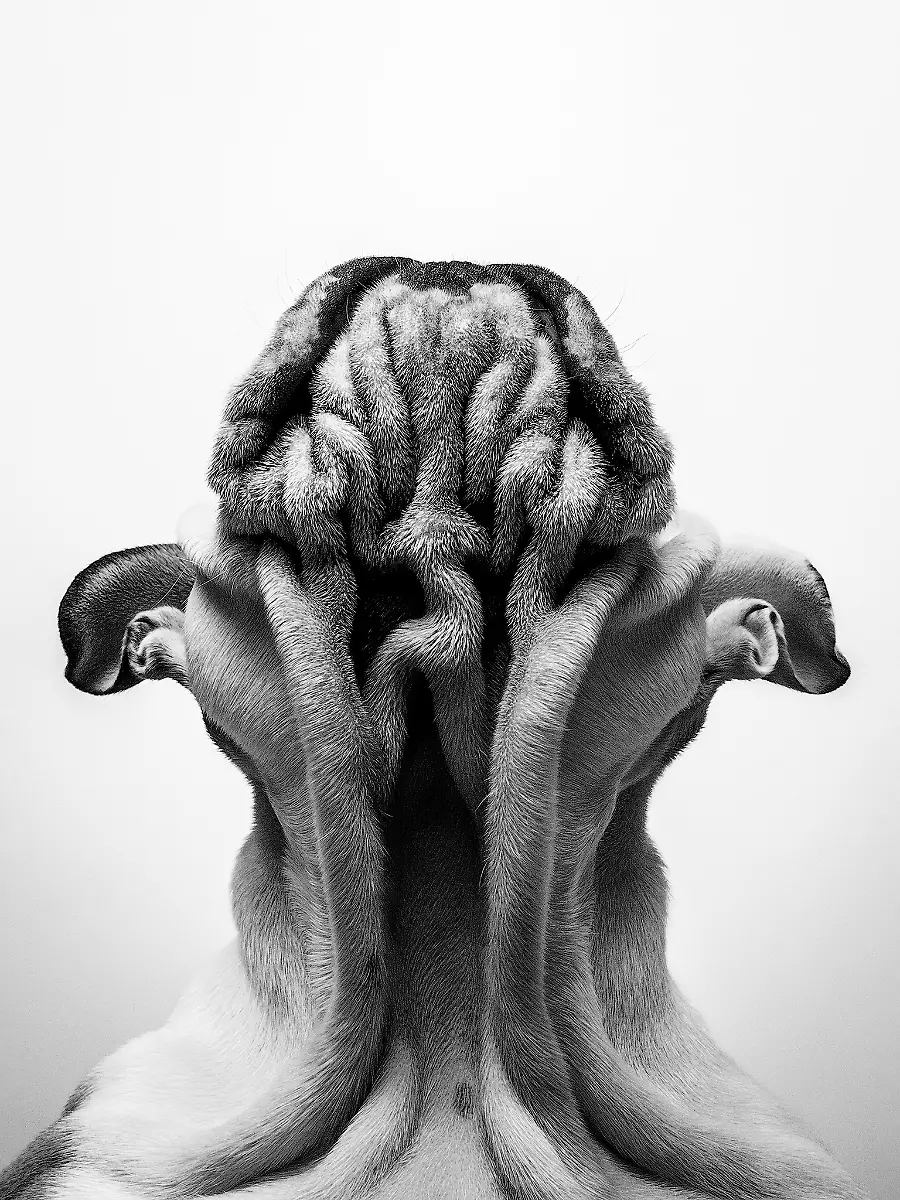 Su-Kaye-1st-Place-Studio