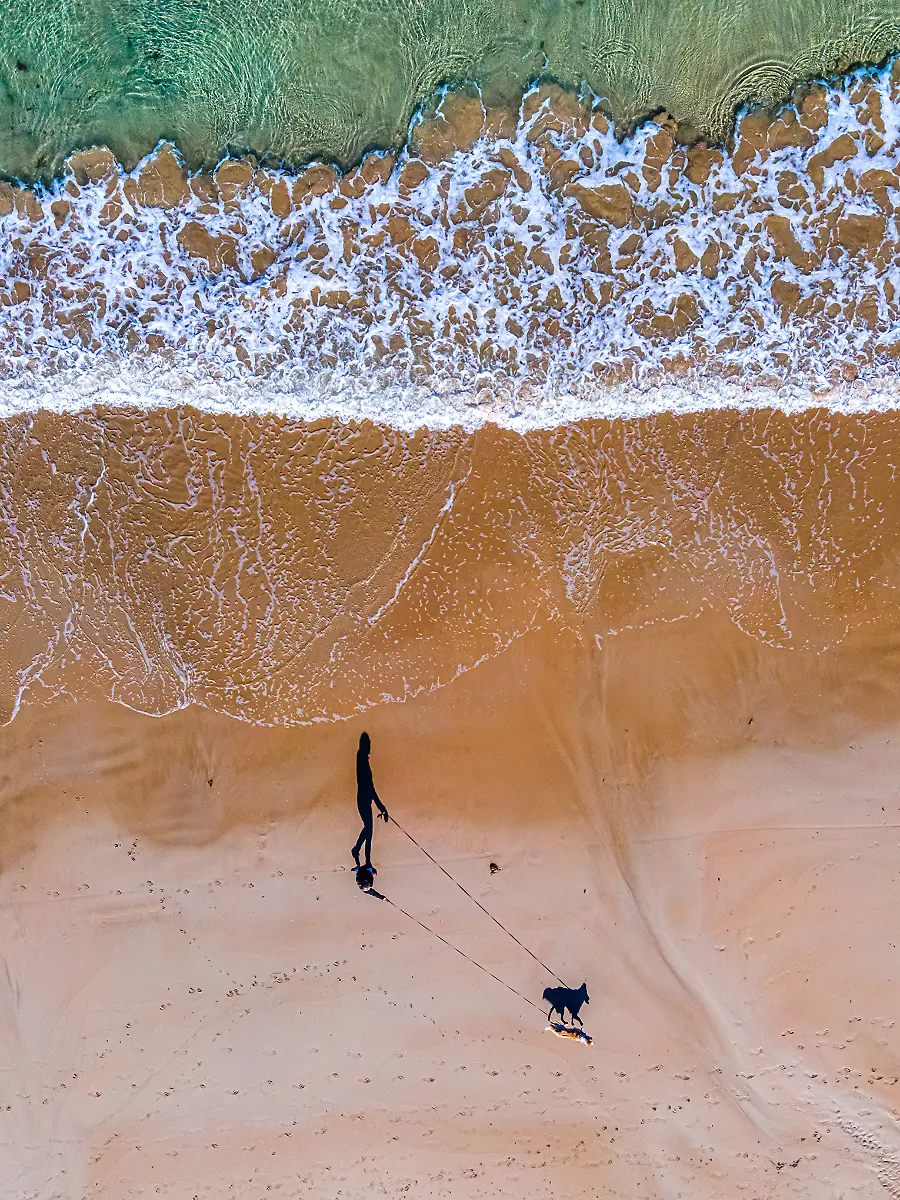 Russell-Charters-3rd-Place-Dogs-People