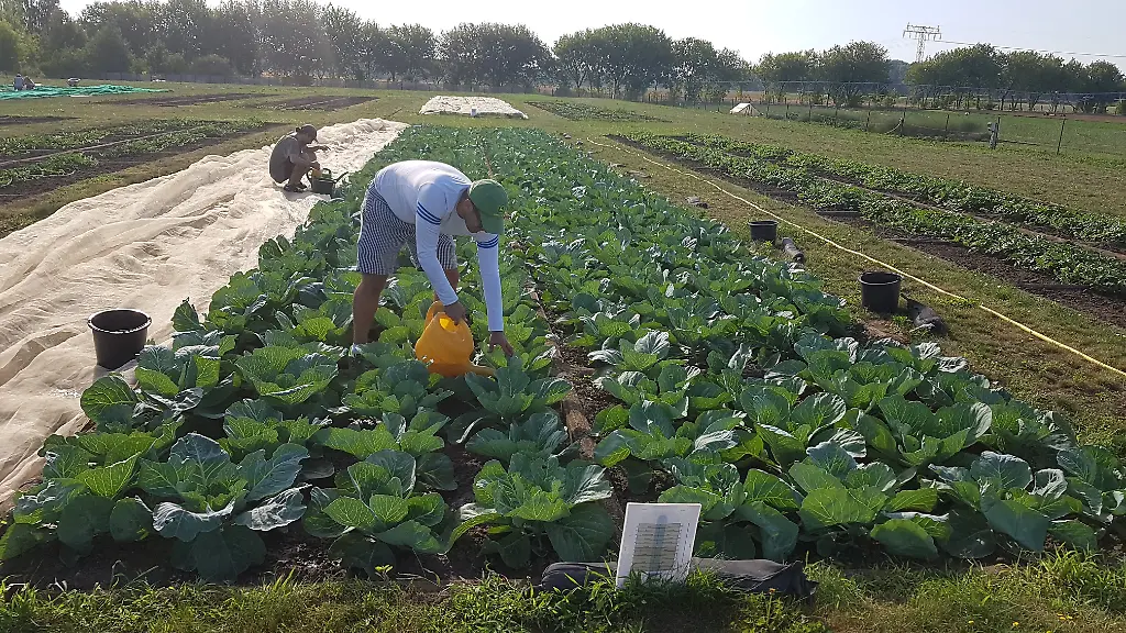 Nicht-weiterverwenden