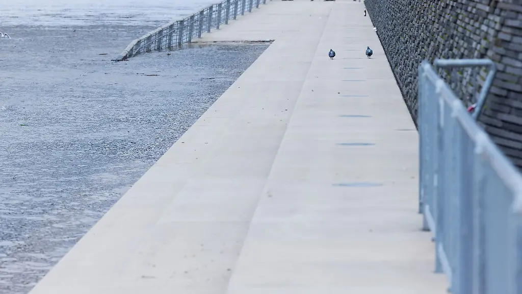 Zwei-Tauben-laufen-ueber-den-zum-groessten-Teil-ueberfluteten-Rheinboulevard