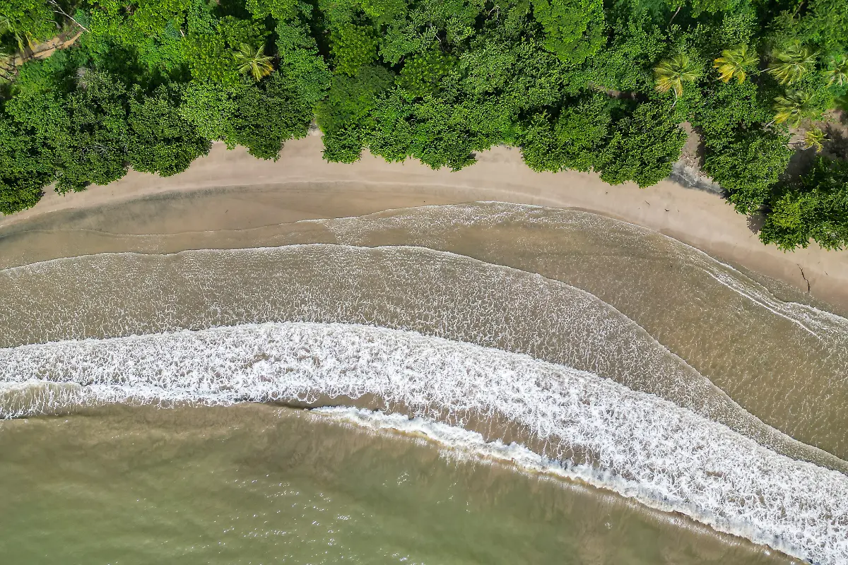 Bild-34-von-40-Mini3-2022-11-26-007