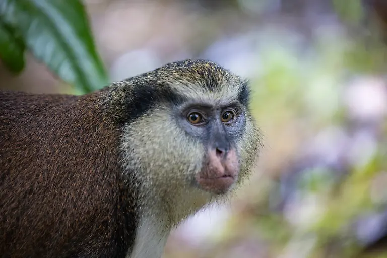 Bild-32-von-40-2022-11-24-050