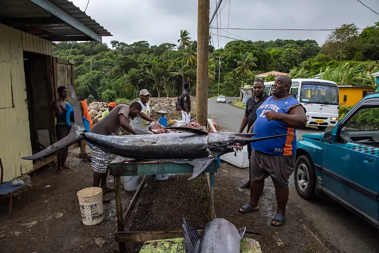 Bild-28-von-40-2022-11-24-009