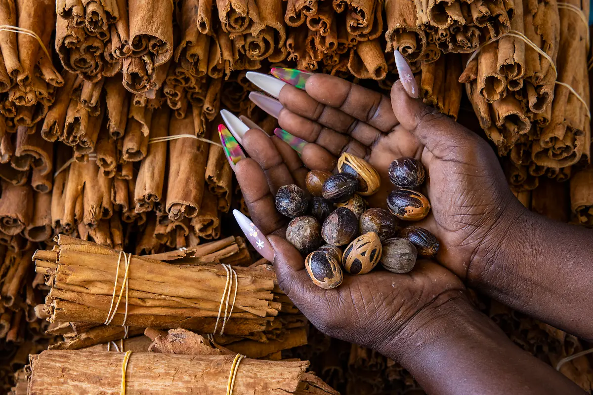 Bild-27-von-40-2022-11-24-020