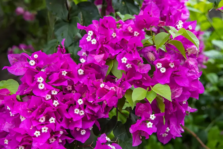 Bild-21-von-40-2022-11-23-003