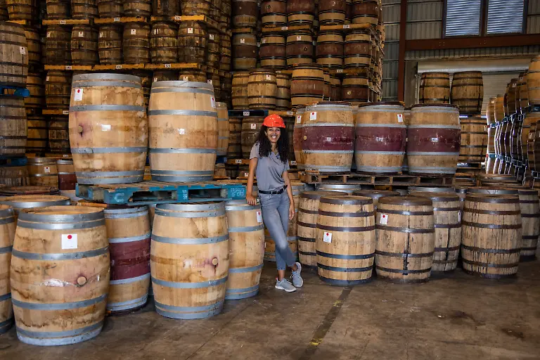 Bild-18-von-40-2022-11-24-036