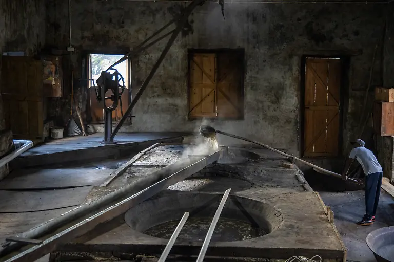 Bild-17-von-40-2022-11-21-096