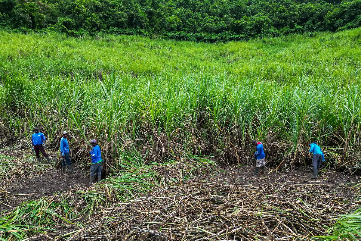 Bild-15-von-40-Mini3-2022-11-24-002