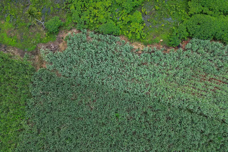 Bild-14-von-40-Mini3-2022-11-24-016