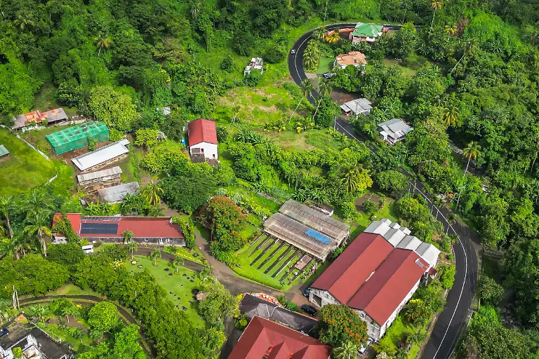 Bild-13-von-40-Mini3-2022-11-21-010