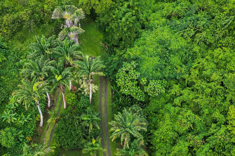 Bild-12-von-40-Mini3-2022-11-21-013