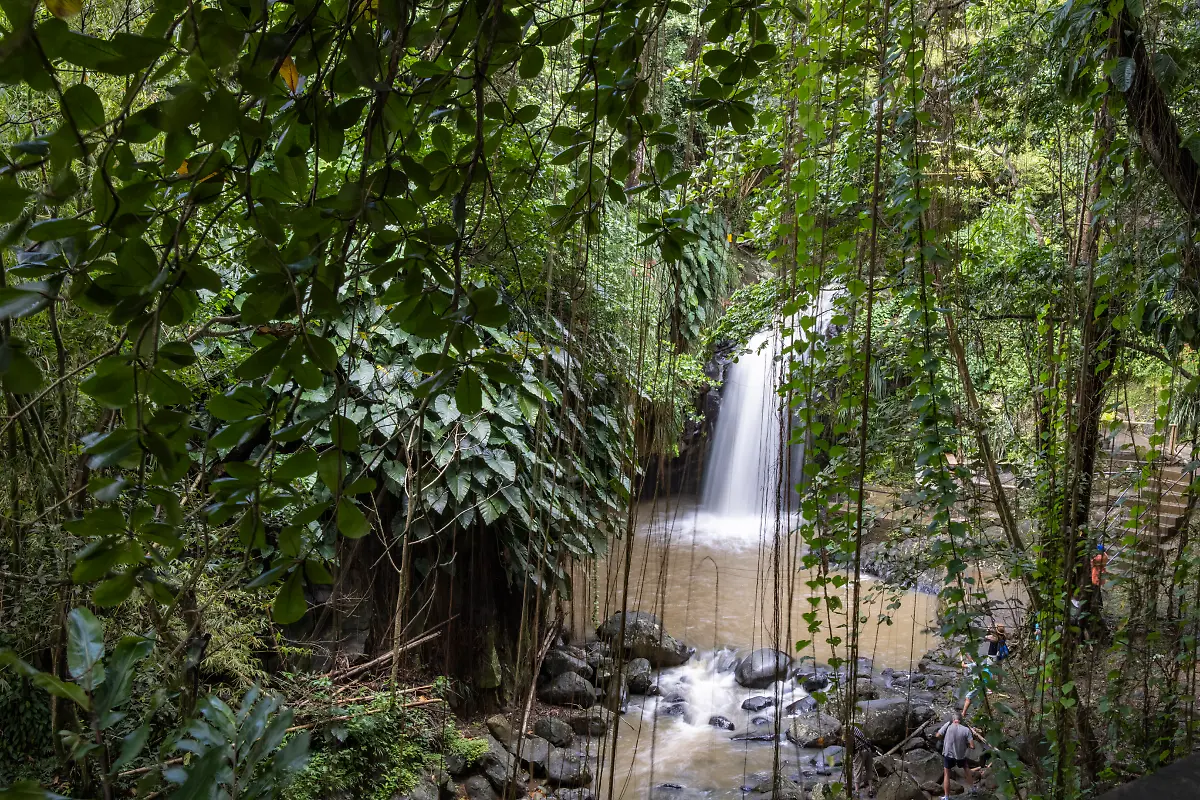 Bild-11-von-40-2022-11-21-070