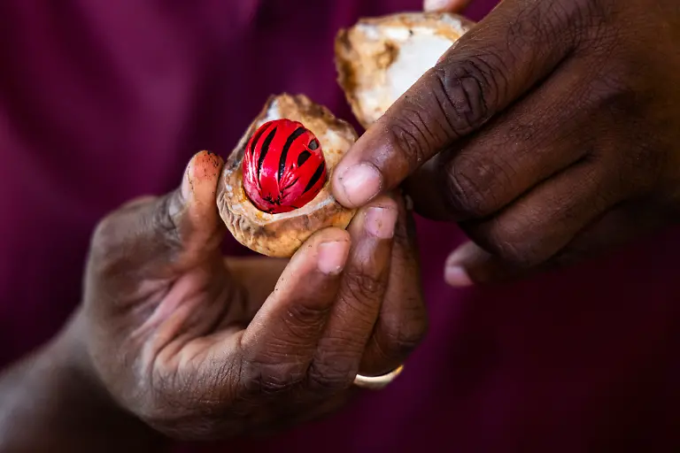 Bild-02-von-40-2022-11-21-049