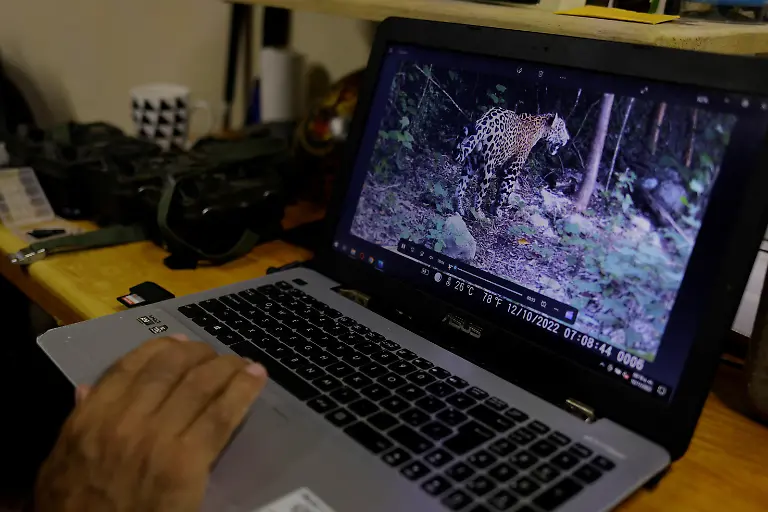 2023-01-04T111757Z-575495189-RC22JX9OHD1J-RTRMADP-3-MEXICO-ENVIRONMENT-TRAIN