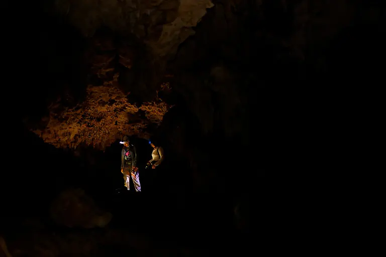 2023-01-04T111817Z-1949715177-RC2JGX96Z9HJ-RTRMADP-3-MEXICO-ENVIRONMENT-TRAIN