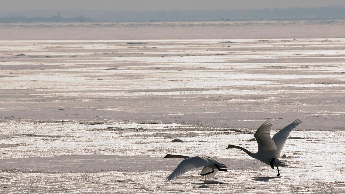 Das Eis auf der Ostsee muss mindestens 25 Zentimeter dick sein.