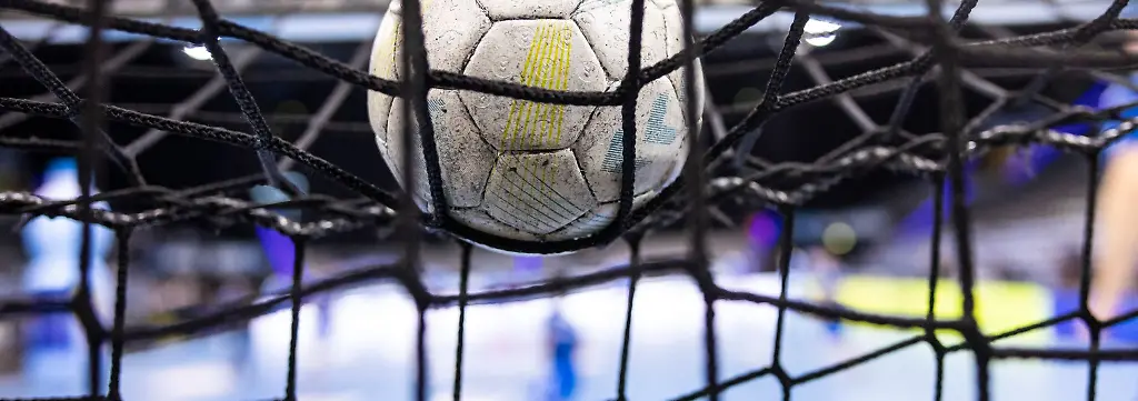 Bild zum Thema Handball-WM
