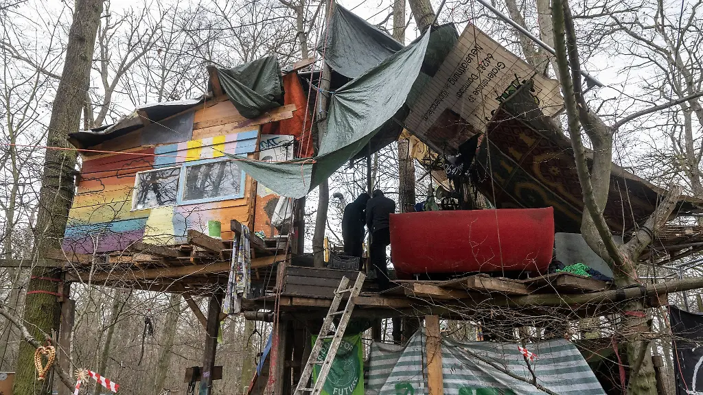 Aktivisten-stehen-in-einem-Baumhaus-im-Fechenheimer-Wald