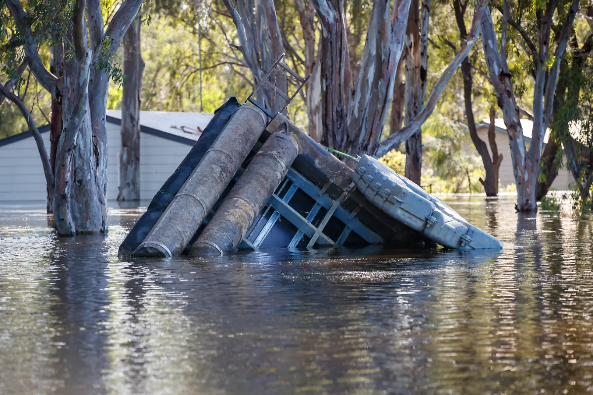 467530f3bf34419071501712a4fa2b2d