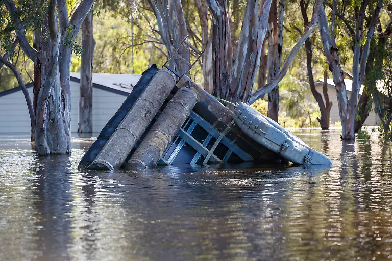 467530f3bf34419071501712a4fa2b2d