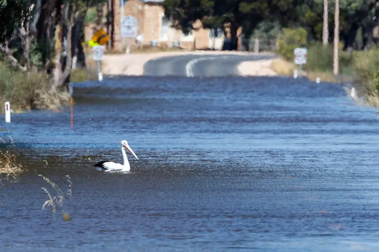 94bddae9ec56eeea2be586b1c17e4212