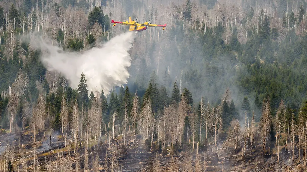 Ein-italienisches-Loeschflugzeug-bekaempft-einen-Waldbrand-am-Brocken