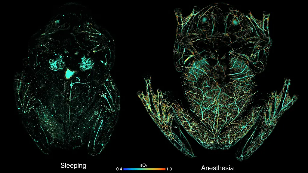 ACHTUNG-Frei-nur-im-Zusammenhang-mit-der-Berichterstattung-ueber-die-Studie